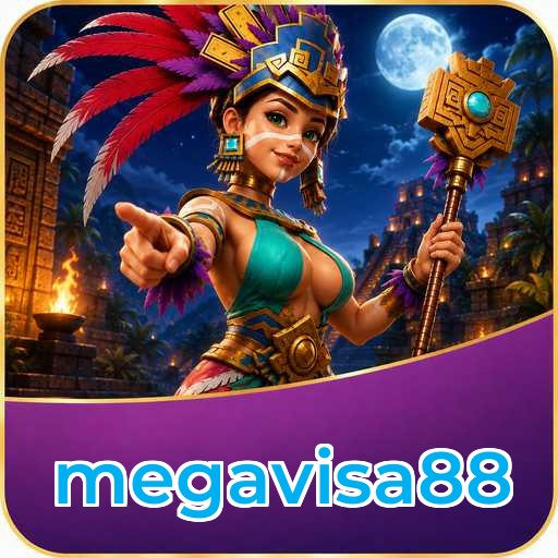 Troubleshooting megavisa88